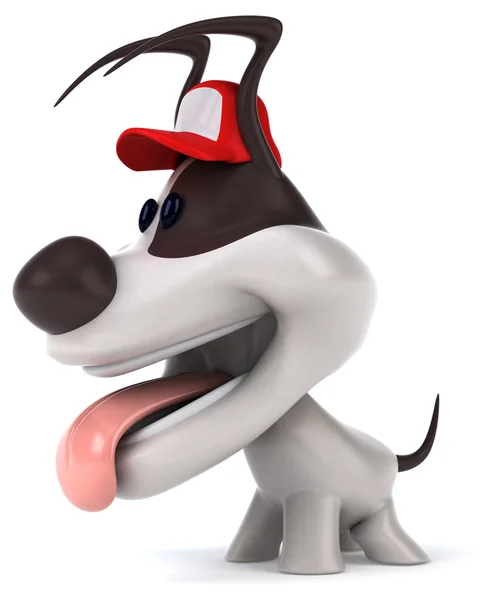 Eğlenceli karikatür köpek şapkalı — Stok fotoğraf