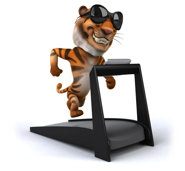 Tigre divertido con cinta de correr —  Fotos de Stock