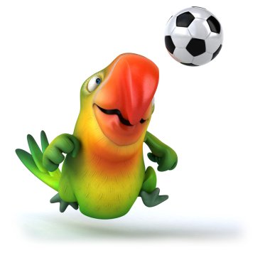 Futbol topu ile eğlenceli papağan