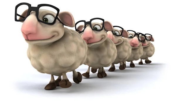 Fun sheep — Stock Photo, Image