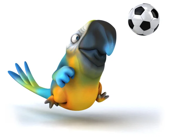 Perroquet avec ballon de football — Photo
