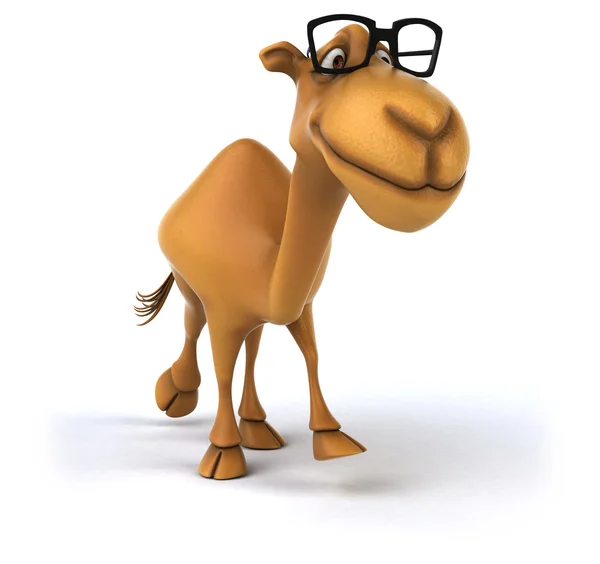 Веселый верблюд в очках — стоковое фото