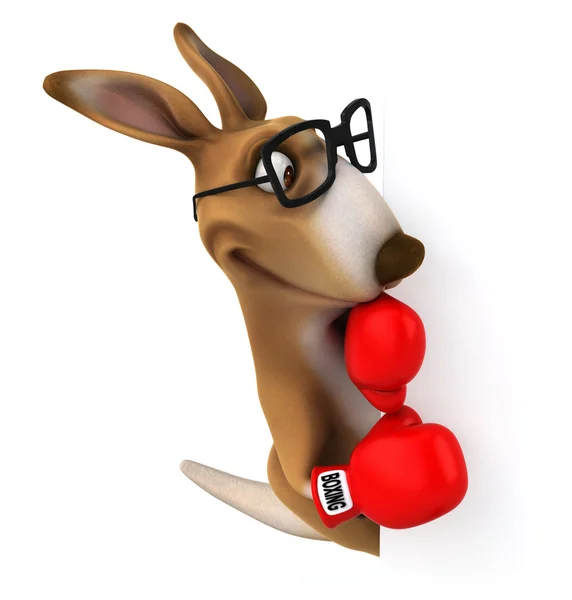 Kangaroo with red boxing gloves — Stock Photo, Image