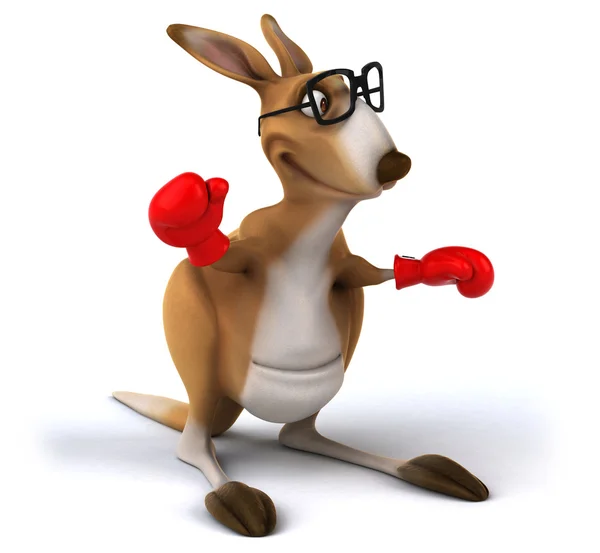 Kırmızı boks eldivenli kanguru — Stok fotoğraf