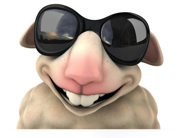 Sheep in glasses with board — Stock Photo, Image