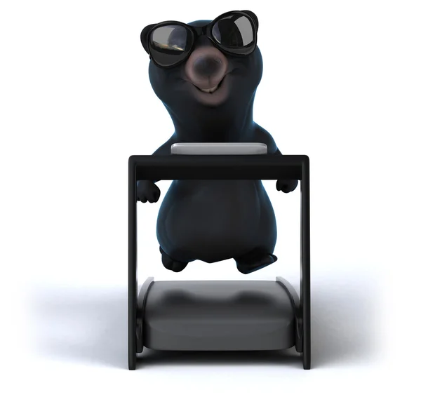 Urso divertido em uma esteira — Fotografia de Stock