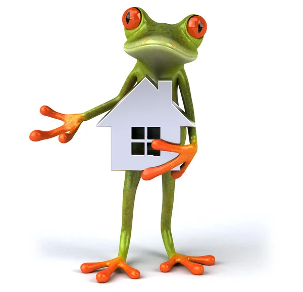 Fun frog with model of the house — Stock Photo, Image