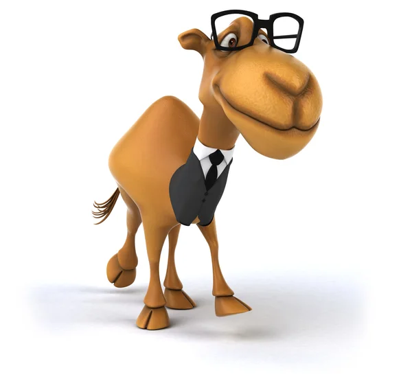 Fun camel in suit and glasses — Stock Photo, Image