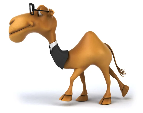 Fun camel in suit and glasses — Stock Photo, Image