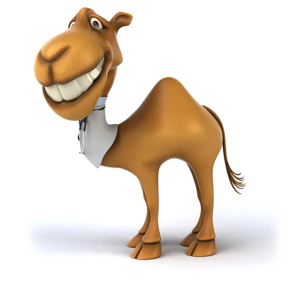 Fun camel doctor — Stock Photo, Image