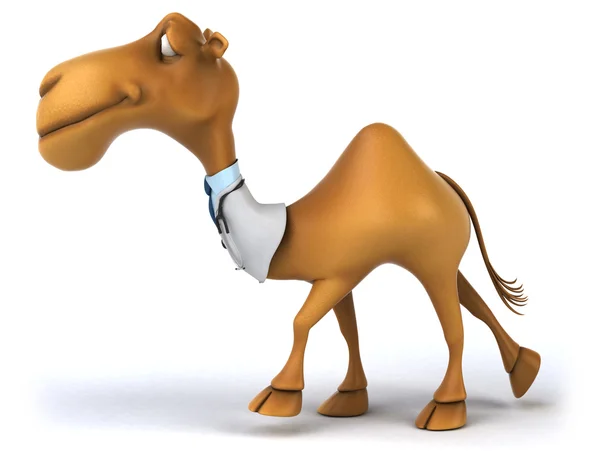 Kul kamel läkare — Stockfoto