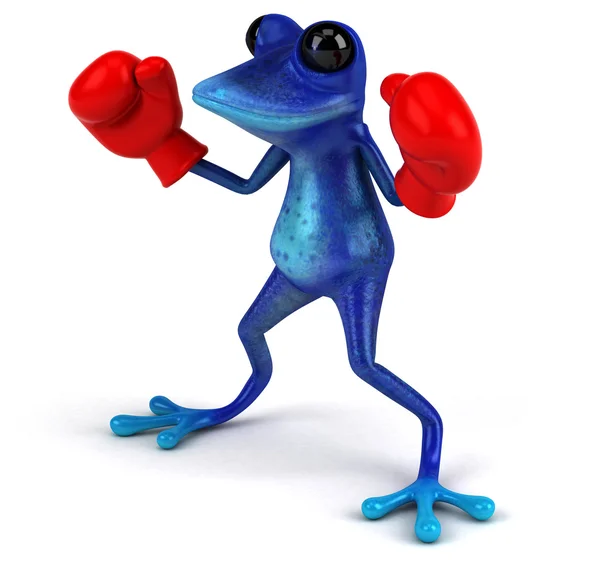 Весела жаба в червоних боксерських рукавичках — стокове фото