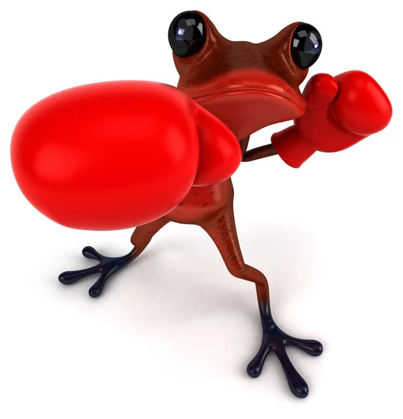 Fun frog in red boxing gloves — Stock Photo, Image