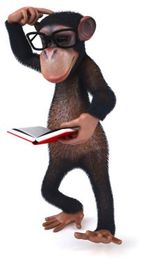 Kitap ile maymun