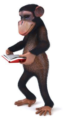 Kitap ile maymun
