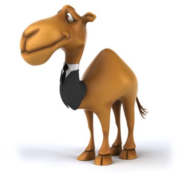 Takım eğlenceli deve