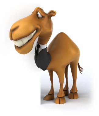 Takım eğlenceli deve