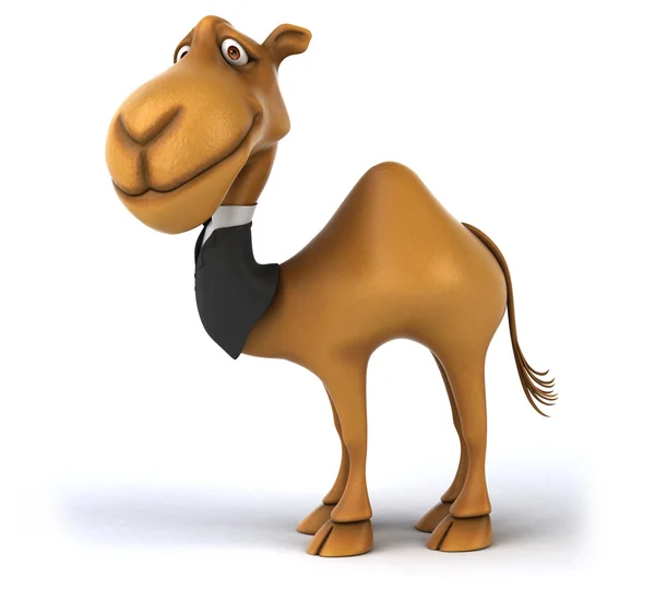 Fun camel in suit — Stock Photo, Image