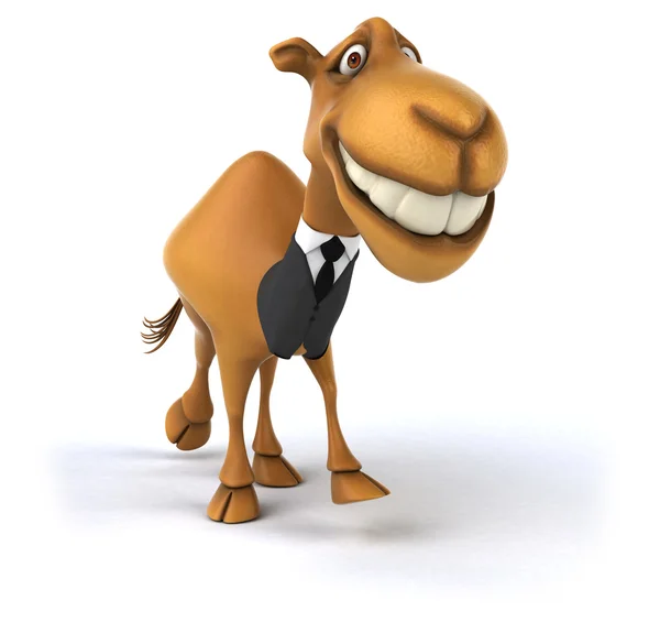 Fun camel in suit — Stock Photo, Image