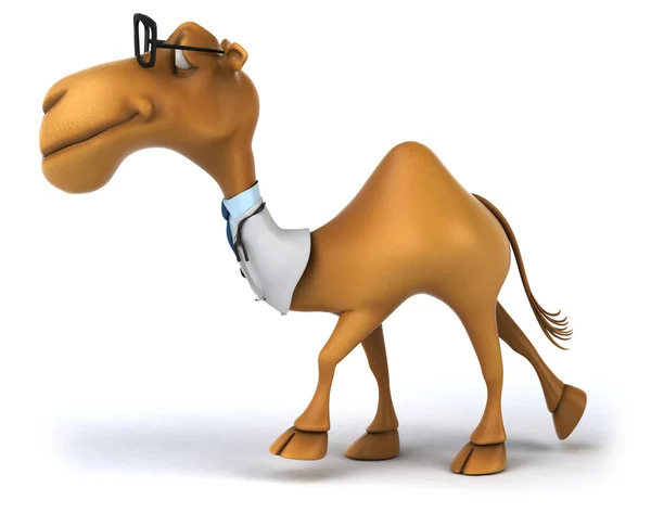 Fun camel doctor — Stock Photo, Image