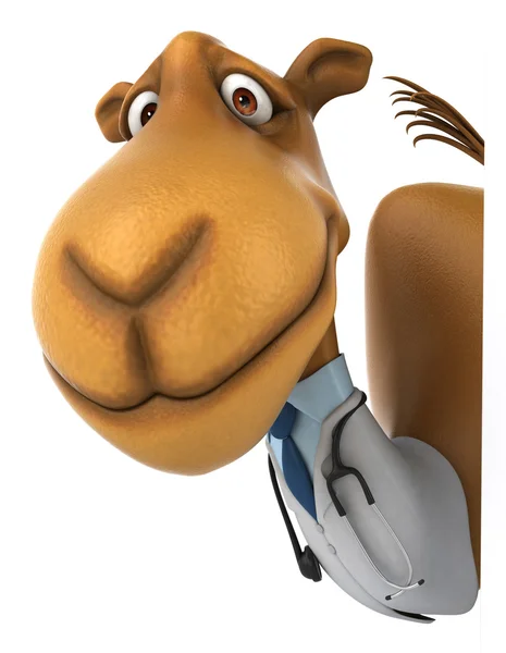 Веселый верблюд-врач — стоковое фото