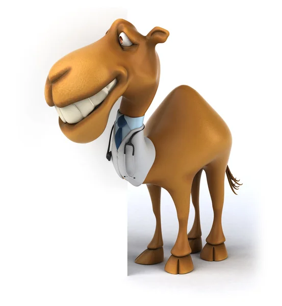 Diversão camelo médico — Fotografia de Stock