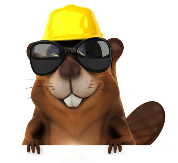 Leuk beaver in zonnebril — Stockfoto