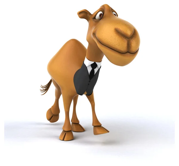 Fun camel in suit — Stock Photo, Image