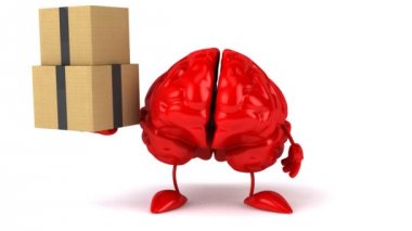 Fun brain with boxes