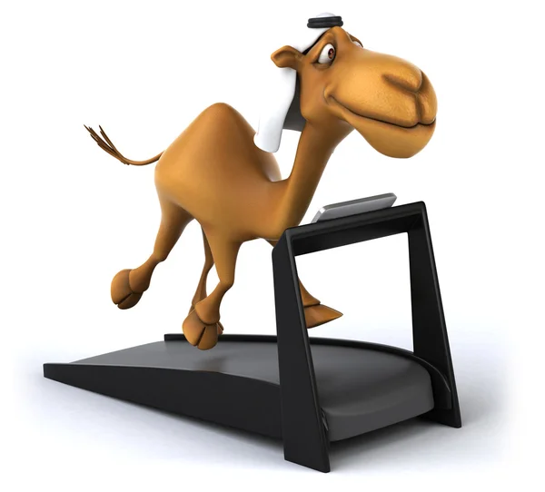 Funny cartoon camel — Stock Photo, Image