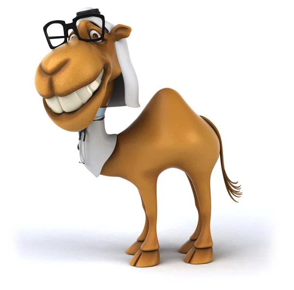 Fun doctor camel — Stock Photo, Image