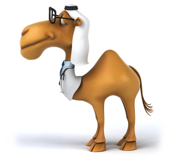 Fun doctor camel — Stock Photo, Image