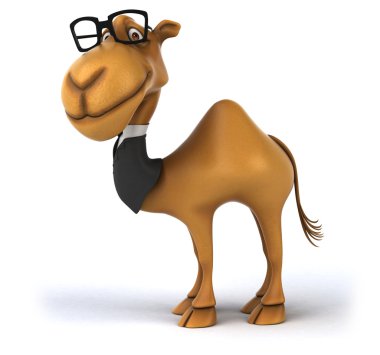 Takım eğlenceli deve