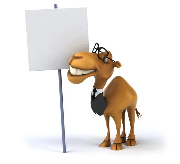 Fun camel in suit — Stock Photo, Image