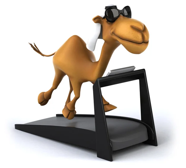 Fun cartoon camel — Stock Photo, Image