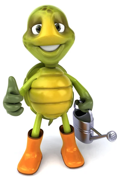 Funny cartoon turtle — Stock Photo, Image