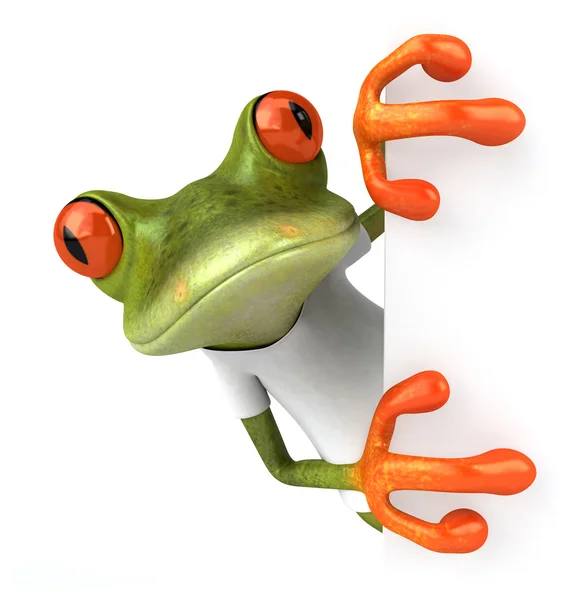 Funny cartoon frog — Stock Photo, Image