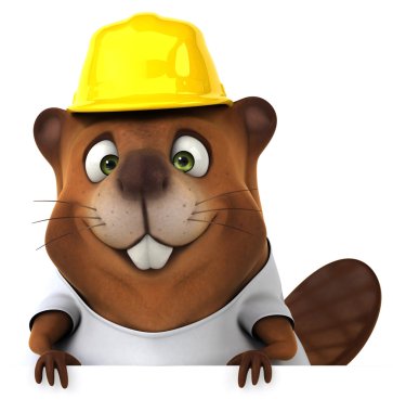 Beyaz tişörtlü Beaver