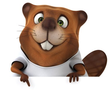 Beyaz gömlek Beaver