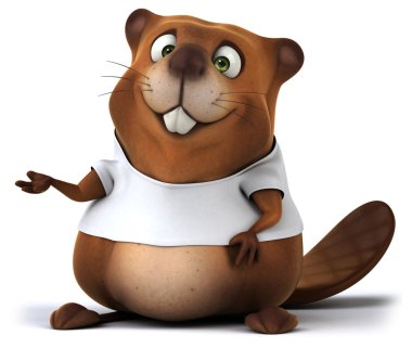 Beyaz gömlek Beaver