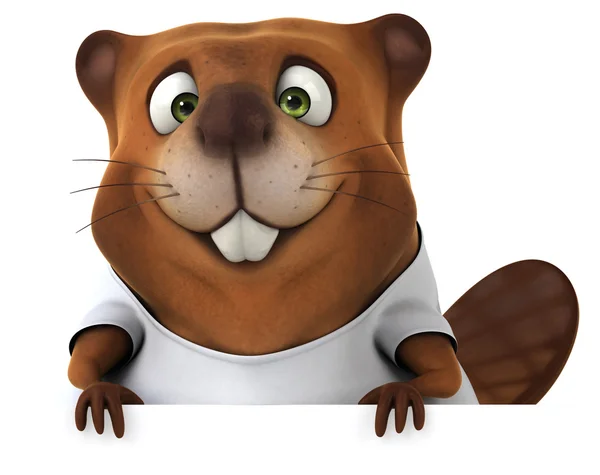 Beaver in white shirt — Stock Photo, Image