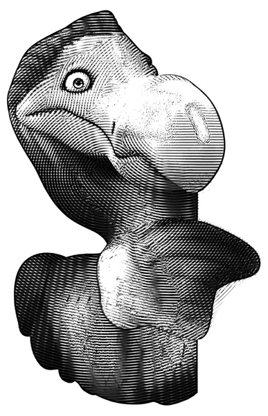 Fun Dodo bird — Stock Photo, Image
