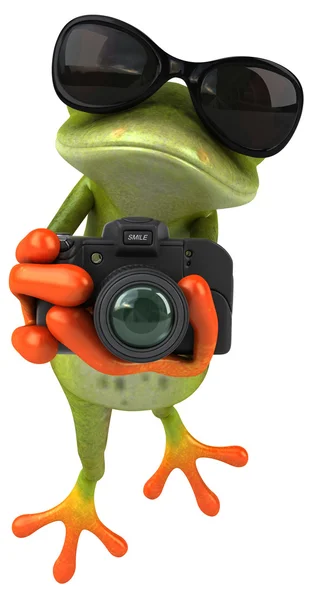 Leuke kikker met camera — Stockfoto