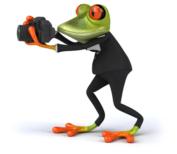 Zabawa żaba z aparatu — Zdjęcie stockowe