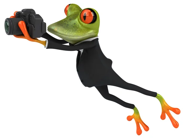 Fun frog with camera — Stock Photo, Image