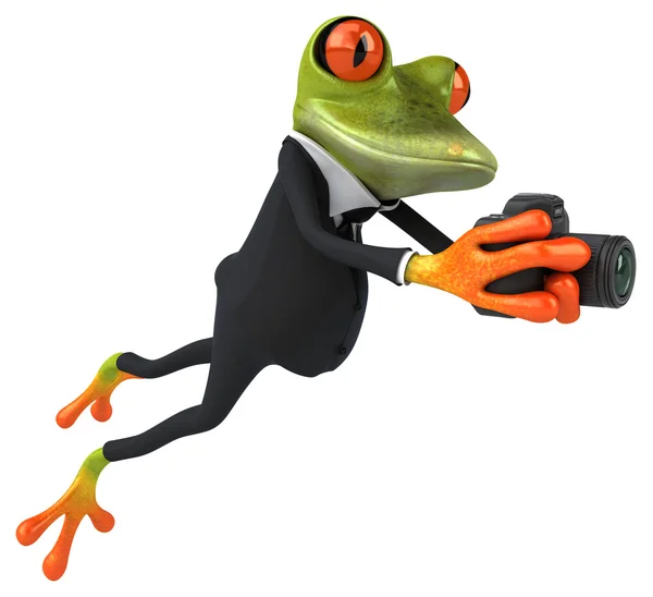 Fun frog with camera — Stock Photo, Image