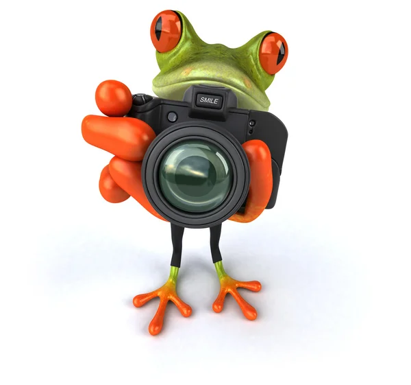 Весела жаба з фотоапаратом — стокове фото