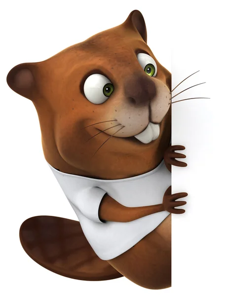 Beaver with a white t shirt — Stock Photo, Image