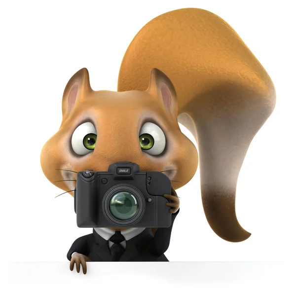 Fun squirrel with camera — Stock Photo, Image