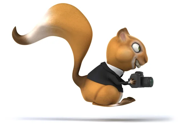 Spaßhörnchen mit Kamera — Stockfoto